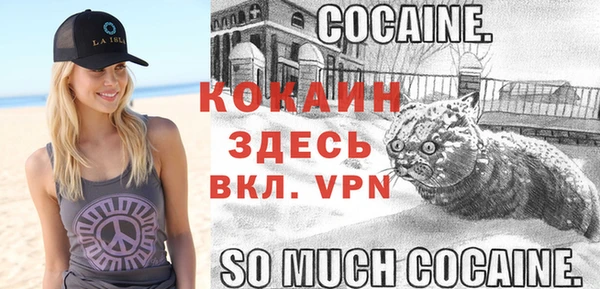 spice Гусь-Хрустальный