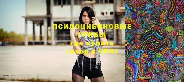 альфа пвп Гусев