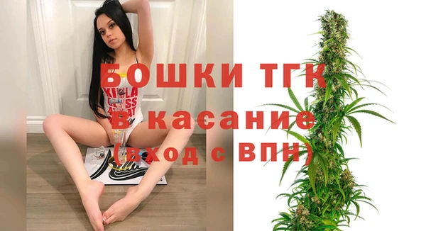 альфа пвп Гусев